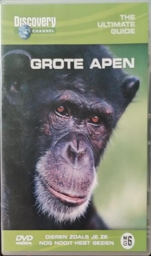 Grote Apen DVD zo goed als nieuw!, CD & DVD, DVD | Documentaires & Films pédagogiques, Comme neuf, Nature, Envoi