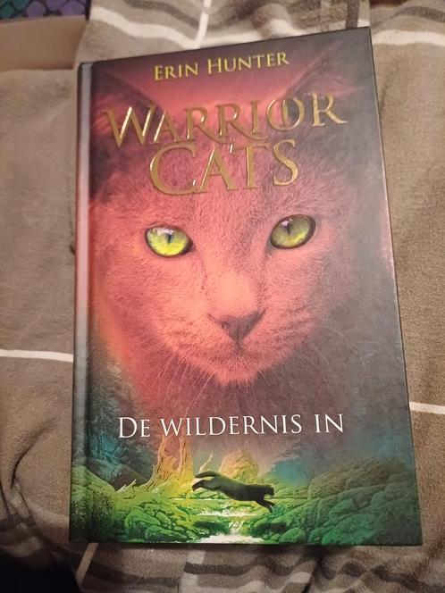 Erin Hunter - De wildernis in, Livres, Livres pour enfants | Jeunesse | 10 à 12 ans, Enlèvement