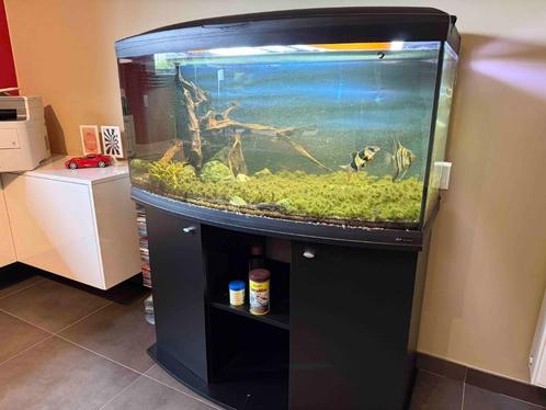 aquarium cayman 110 scenic 300 liter, Dieren en Toebehoren, Vissen | Aquaria en Toebehoren, Gebruikt, Gevuld zoetwateraquarium
