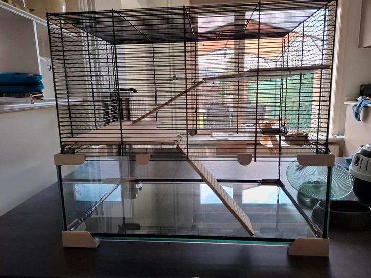 Ferplast karat 60, Animaux & Accessoires, Rongeurs & Lapins | Cages & Clapiers, Enlèvement