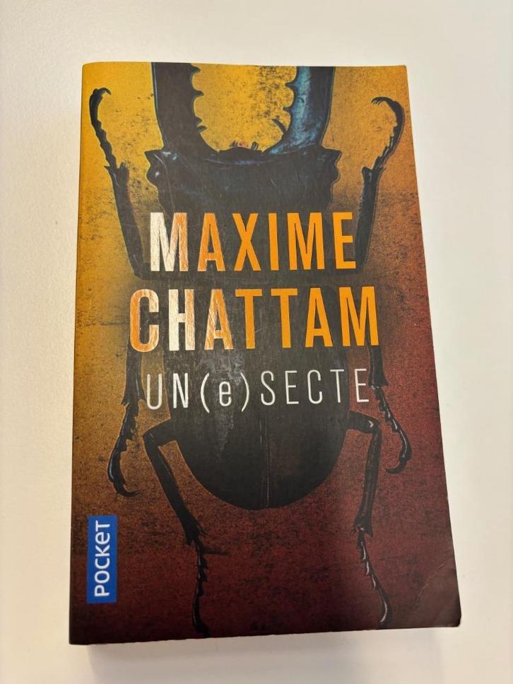 UN(e) SECTE (Maxime Chattam), Livres, Thrillers, Comme neuf, Enlèvement ou Envoi