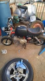 Aap met papieren 150 cc Skyteam, Motoren, Particulier