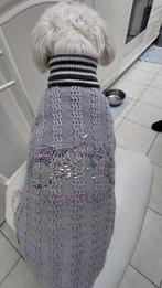 pull pour chien à vendre pour petits chiens, Animaux & Accessoires, Enlèvement, Comme neuf, Pull pour chien