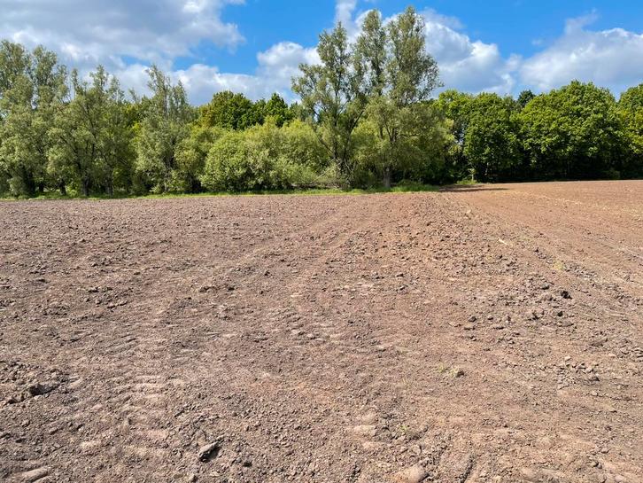 Landbouwgrond, Immo, Terrains & Terrains à bâtir