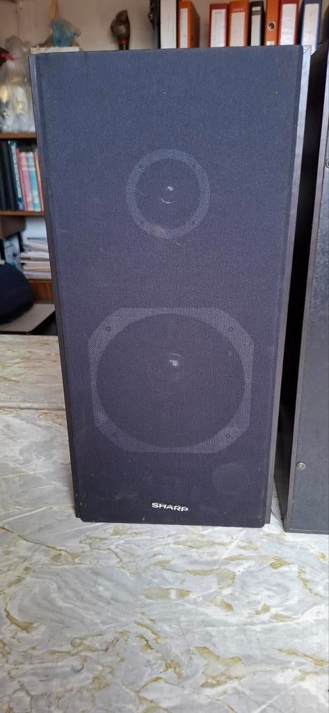 Boxen SHARP, TV, Hi-fi & Vidéo, Enceintes, Enlèvement