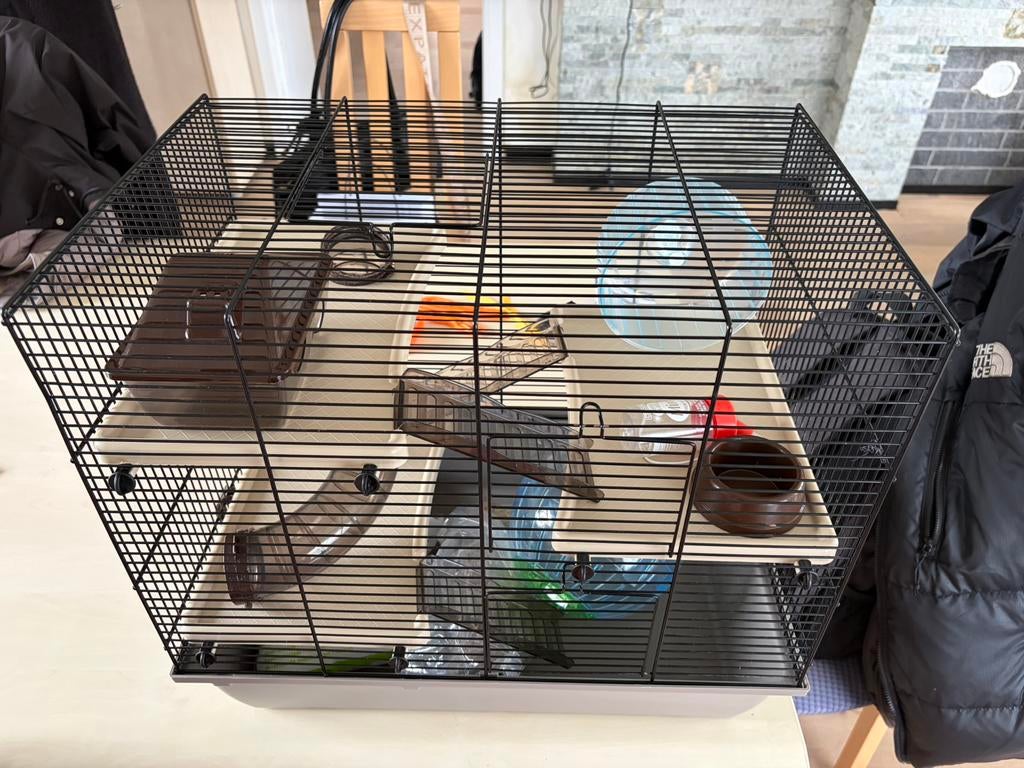 Hamsterkooi, Ophalen, Gebruikt, Kooi, Hamster