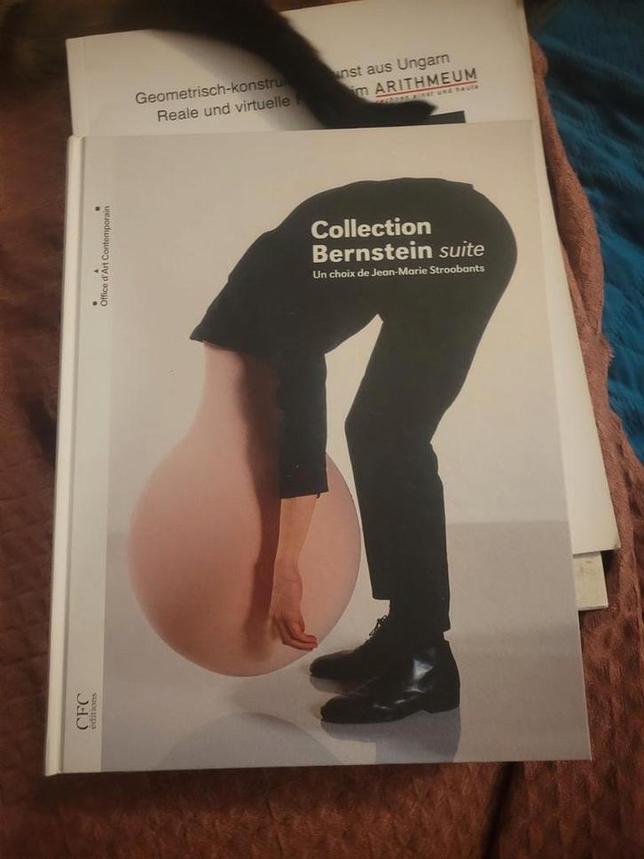Bernstein Suite-collectie, Jean-Marie Stroobants, CFC ed., Boeken, Kunst en Cultuur | Beeldend, Zo goed als nieuw, Schilder- en Tekenkunst