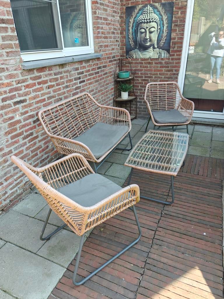 Rotan tuinset met kussens, Ophalen, 4 zitplaatsen, Gebruikt, Rotan