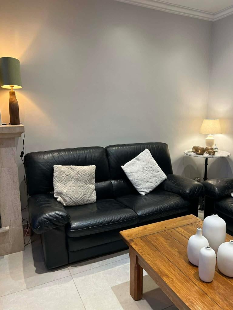 Salon, Ophalen, Leder, Gebruikt, Driepersoons