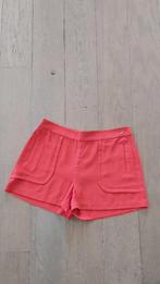 Rode short JBC maat 40 ( eerder 38), Kleding | Dames, Broeken en Pantalons, Ophalen of Verzenden, Maat 38/40 (M)