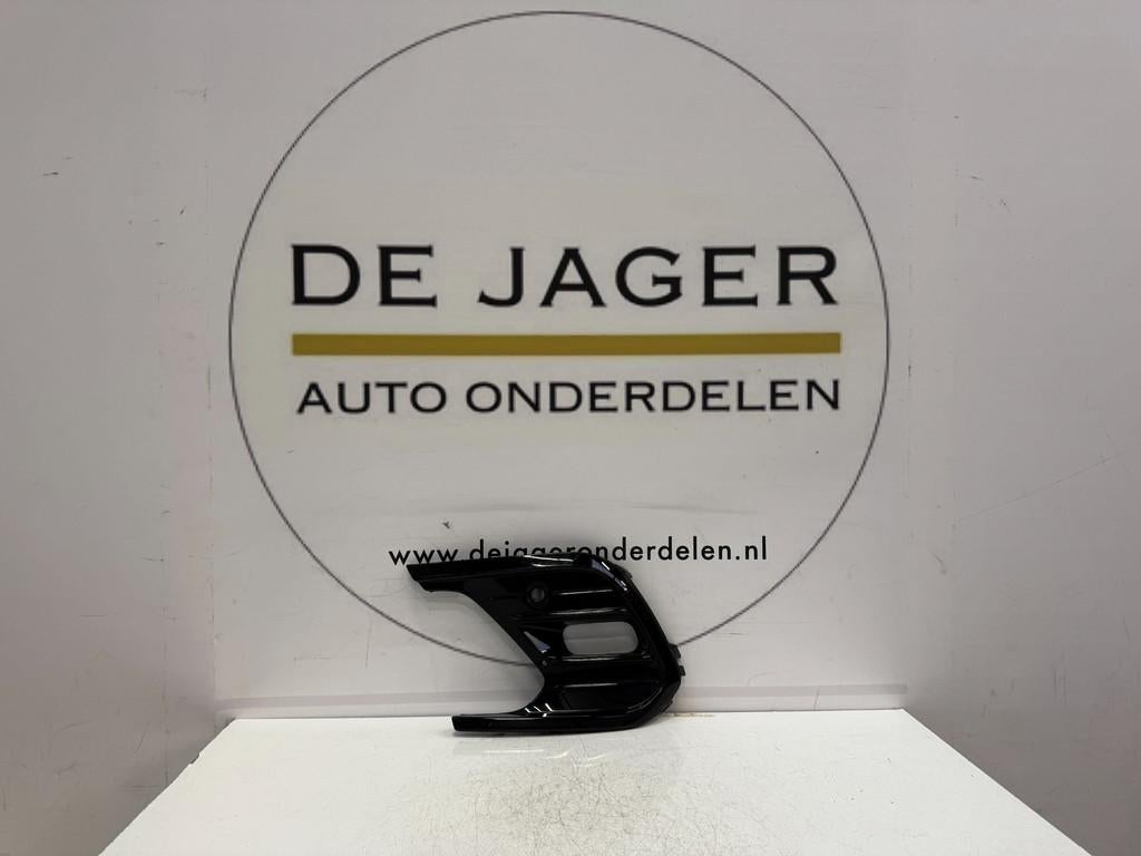 VW POLO 2G RENOVATION R LINE PARE-CHOCS ROOSTER 2G0853665R, Pare-chocs, Volkswagen, Volkswagen AG, Gauche