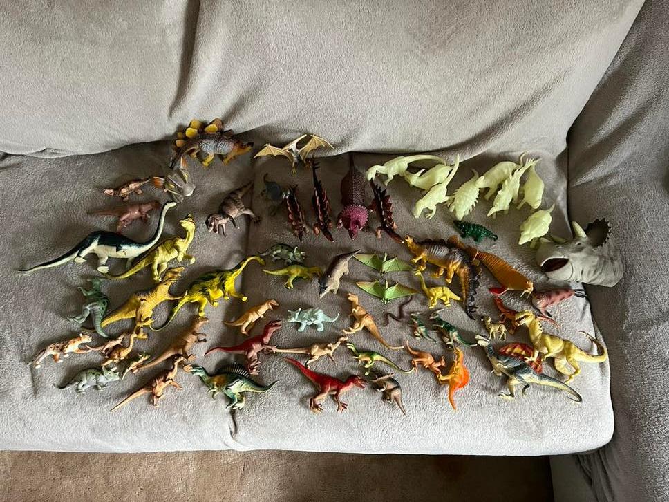 Meer dan 50 speel Dino’s en enkele andere dieren, Ophalen, Gebruikt