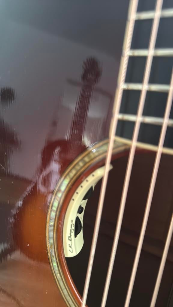 LR Bangs Anthem pickup voor akoestische gitaar, Ophalen of Verzenden, Nieuw, Akoestische gitaar