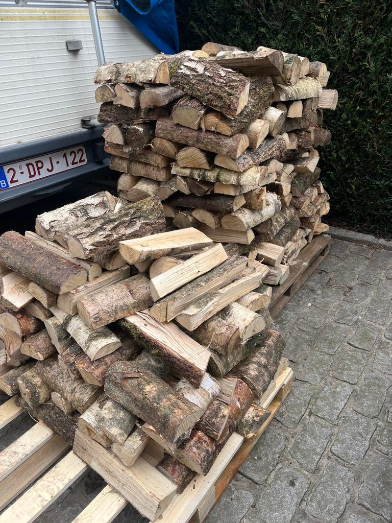 Brandhout berk, Tuin en Terras, Brandhout, Ophalen, Berkenhout, Stammen