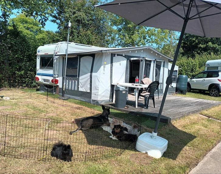 Caravan Hobby Type 495 W te koop, Caravanes & Camping, Caravanes, Particulier, jusqu'à 4, Hobby, Enlèvement