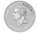 15 Dollars 2026 Platina 1/10 Oz, Ophalen
