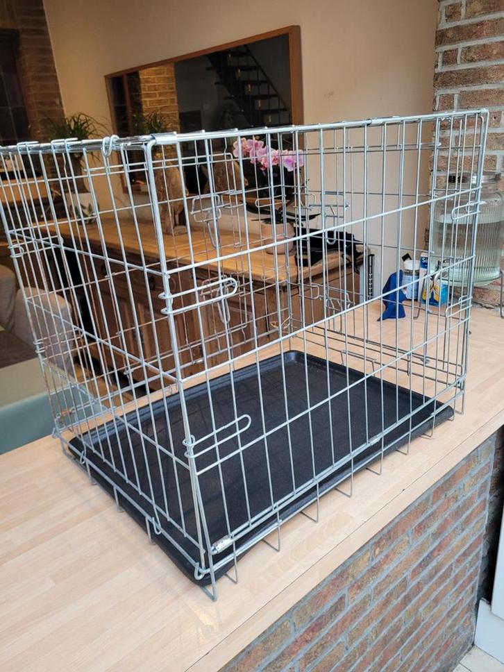 Cage pour chien, Animaux & Accessoires, Accessoires pour chiens, Enlèvement