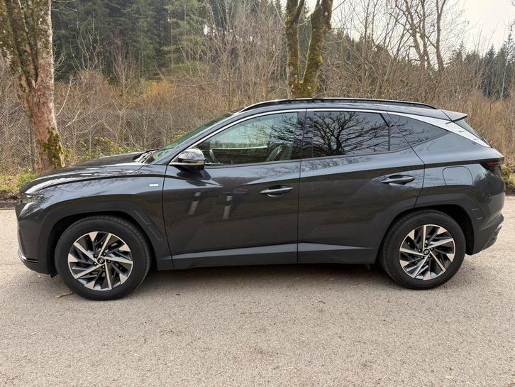 Hyundai tucson shine sensation pack  DISPONIBLE, Autos, Hyundai, Particulier, Tucson, Caméra 360°, ABS, Caméra de recul, Régulateur de distance