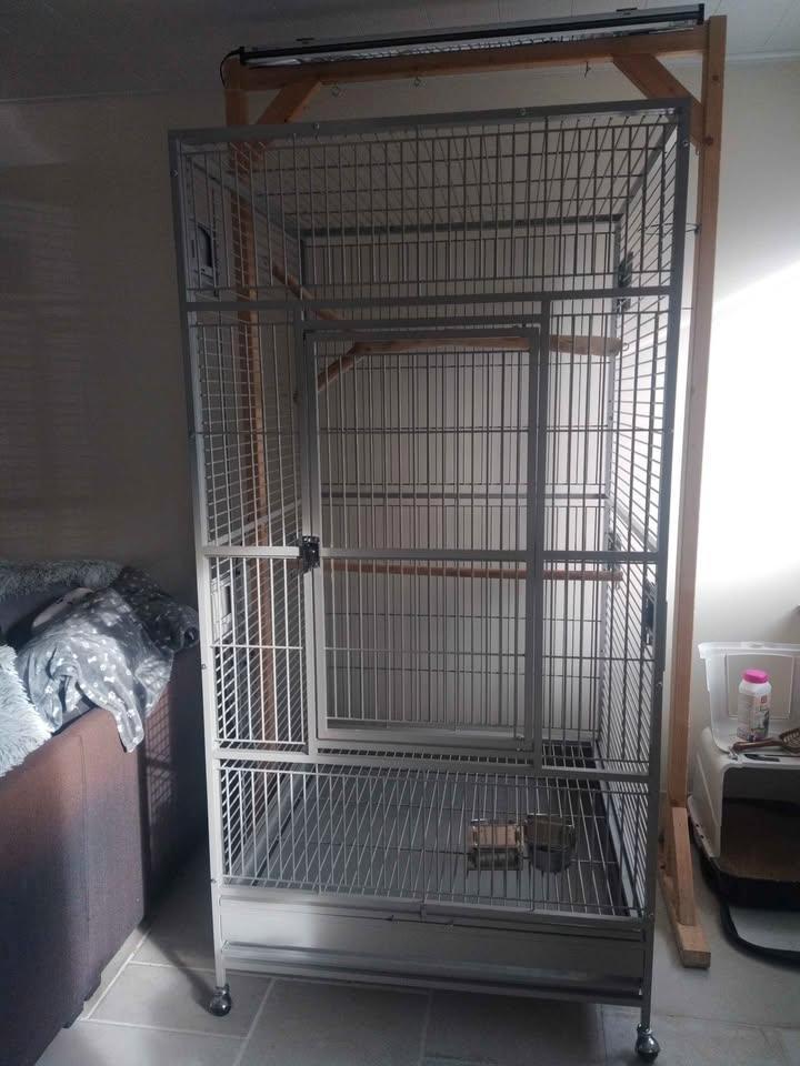 Cage  Montana Arkansas Perroquet/Grand oiseaux, Dieren en Toebehoren, Vogels | Hokken en Kooien, Nieuw, Vogelkooi, Metaal, Ophalen