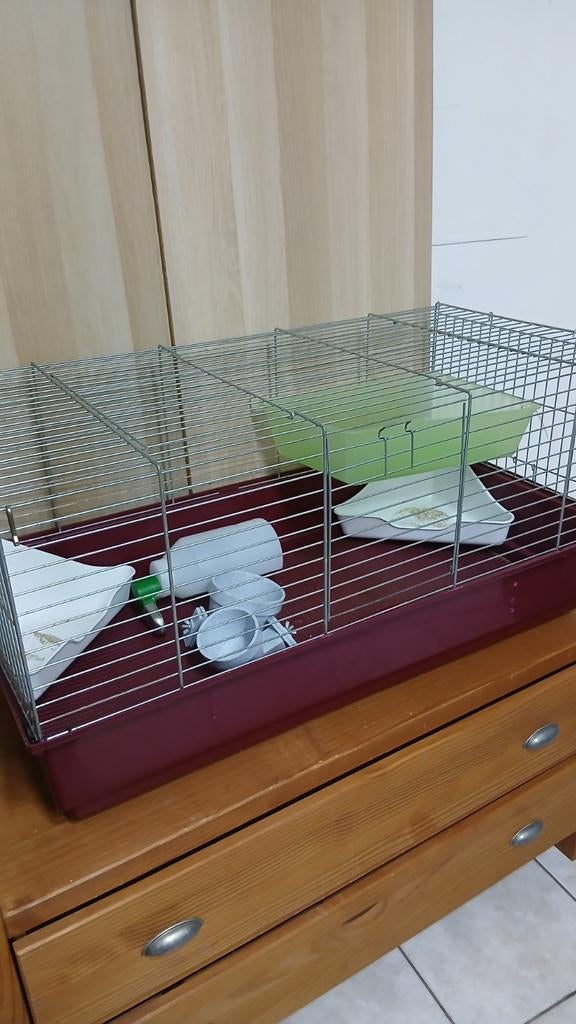 Grande cage pour lapin hamster avec accessoires, Animaux & Accessoires, Enlèvement, Cage, Hamster