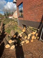 Veel brandhout bomen lot 50 euro vandaag ophalen, Ophalen