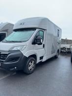 TE HUUR 2 paardscamionette, Ophalen