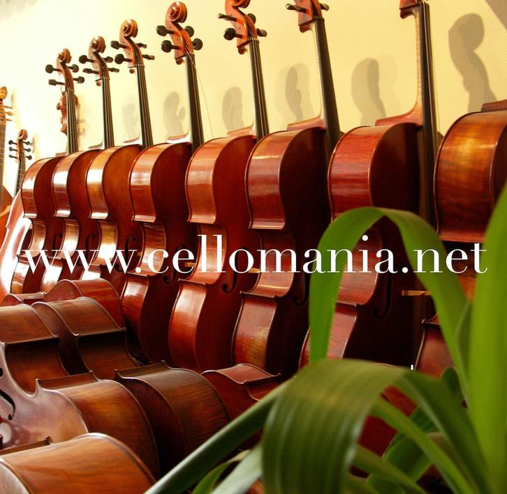 Violoncelle - Location : Tailles 4/4 7/8 3/4 1/2 1/4 1/8, Musique & Instruments, Instruments à cordes frottées | Violoncelles