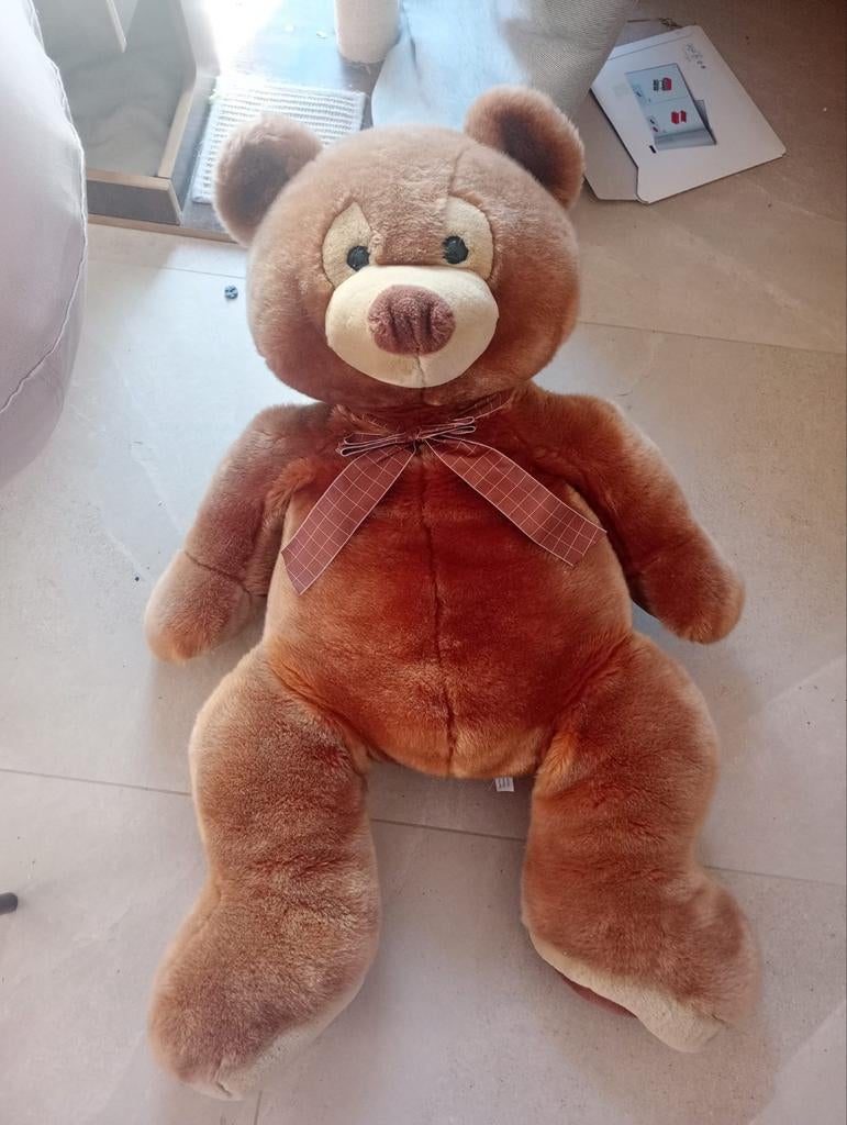 Un gros ours brun., Enlèvement, Ours