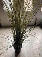 Plantes, artificielles, Ophalen, Zo goed als nieuw