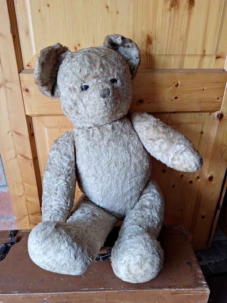 Grote teddybeer, Ophalen