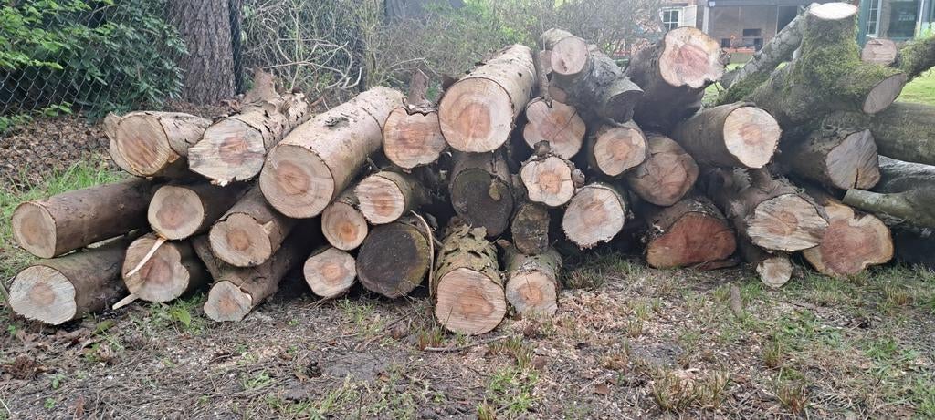 Brandhout, Enlèvement, Bûches