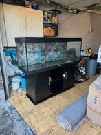 Aquarium met kast Moet zo snel mogelijk weg, Animaux & Accessoires, Enlèvement