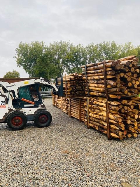 Kastanje palen, gepunt/ontschorst, Dieren en Toebehoren, Schapen, Geiten en Varkens