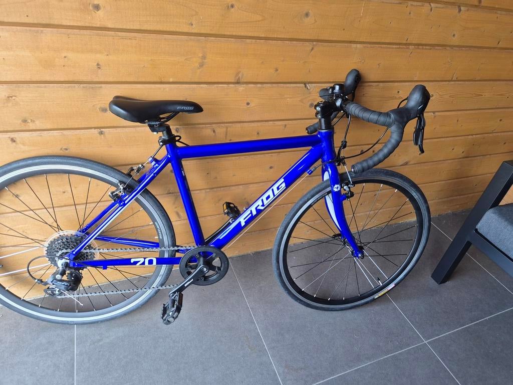 Frog koersfiets, Fietsen en Brommers, Ophalen