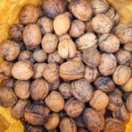 Noix - noix - plus de 4 kilos ! ! !, Enlèvement ou Envoi, Rongeur ou Lapin