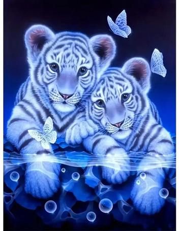 Diamond Painting Tijgers en vlinders 40x30cm Painting 35x25c beschikbaar voor biedingen