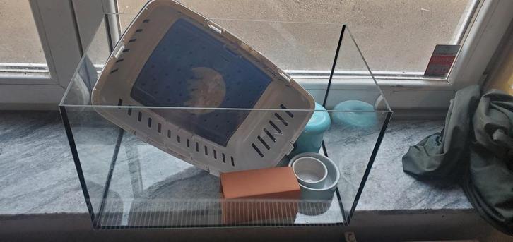 Terra 50x30x30 ouvert avec accessoires, Animaux & Accessoires, Rongeurs & Lapins | Cages & Clapiers, Enlèvement