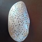 Coquille de perle sculptée à la main - tortues de mer, Enlèvement ou Envoi