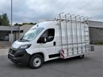 Porte-vitres en aluminium soudé Fiat Ducato 2.2 Mjet 140ch 2, Autos, Camionnettes & Utilitaires, Achat, Euro 6, Entreprise, Boîte manuelle