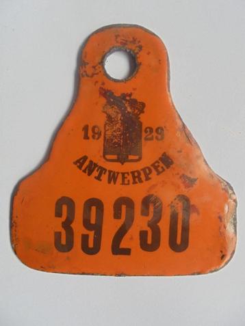 mooie taksplaat 1929 antwerpen fietsplaat email beschikbaar voor biedingen