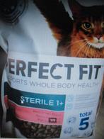 kattenbrokken, Ophalen of Verzenden, Kat