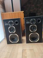 Philips 489 vintage luidsprekers, Audio, Tv en Foto, Luidsprekerboxen, Ophalen, Philips, Gebruikt, 60 tot 120 watt