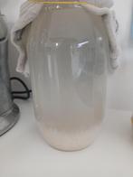 Waterkefir, Diversen, Levensmiddelen, Ophalen