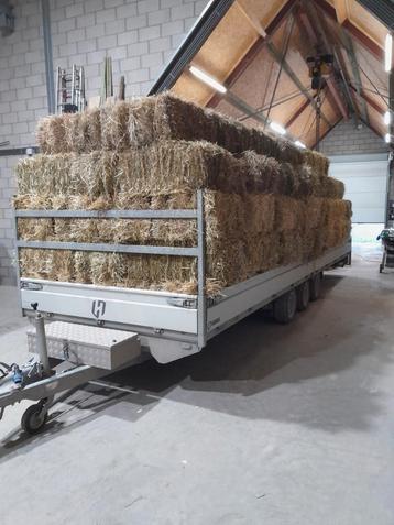 Hooi kleine pakken  beschikbaar voor biedingen
