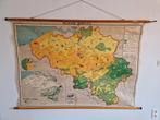 Oude grote schoolkaart Belgique agricole, Antiek en Kunst, Ophalen