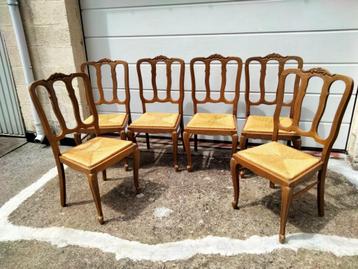 6 Chaises, en très bon état, avec paillage impeccable beschikbaar voor biedingen