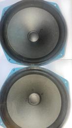 Ongebruikte Tesla woofers 8 ohm, 20w 10 inch, Ophalen of Verzenden, Nieuw