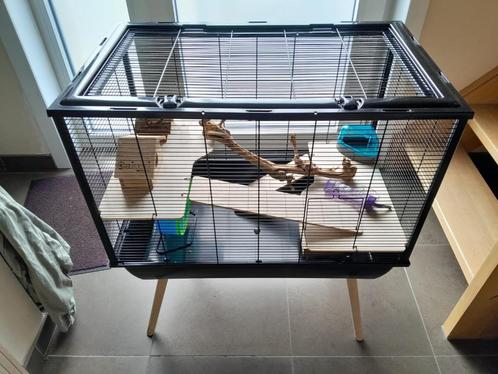knaagdierenkooi, Dieren en Toebehoren, Knaagdieren en Konijnen | Hokken en Kooien, Gebruikt, Kooi, 60 tot 90 cm, 75 tot 110 cm
