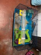 cage hamster, Dieren en Toebehoren, Knaagdieren en Konijnen | Hokken en Kooien, Ophalen, Zo goed als nieuw, Kooi, Hamster