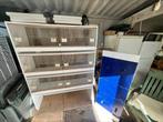 kweekkooi op wielen 127x41x175 3 of 6 dozen, Dieren en Toebehoren, Vogels | Hokken en Kooien, Ophalen, Gebruikt, Hout, Broedkooi of Kweekkooi